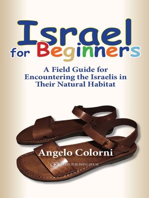 cover image of Israel for Beginners